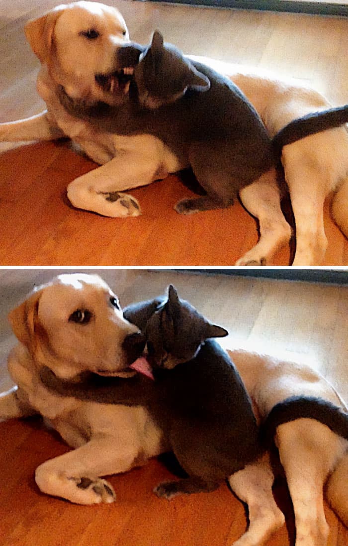 31 Heartwarming Before And After Images That Are So Wholesome !