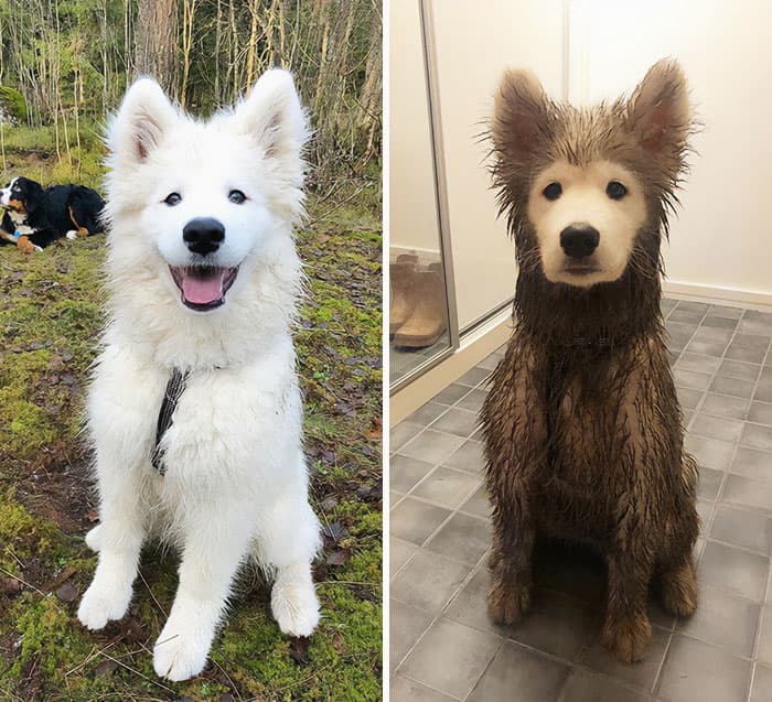 31 Heartwarming Before And After Images That Are So Wholesome !