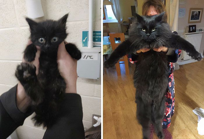 31 Heartwarming Before And After Images That Are So Wholesome !