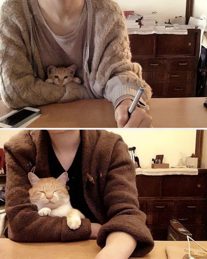 31 Heartwarming Before And After Images That Are So Wholesome !