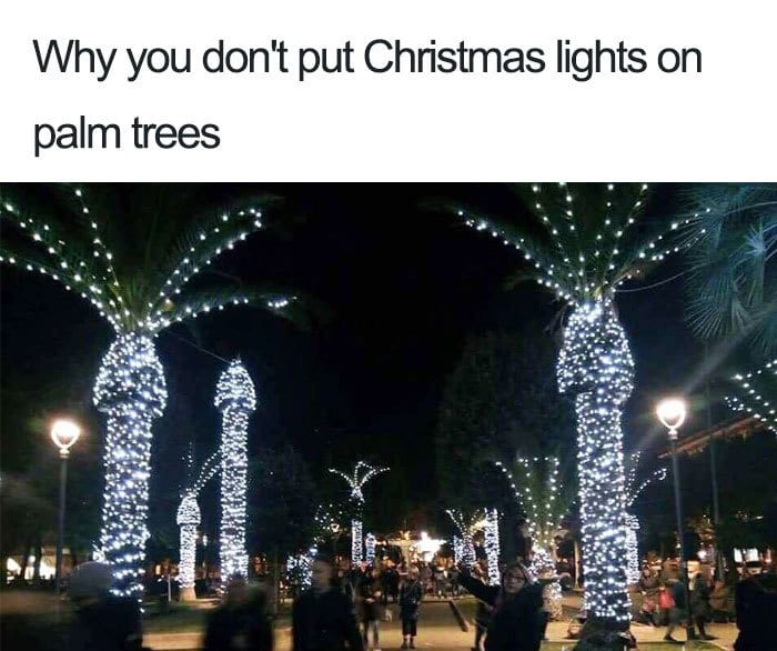 30 Festive Christmas Memes To End Off Your Year 