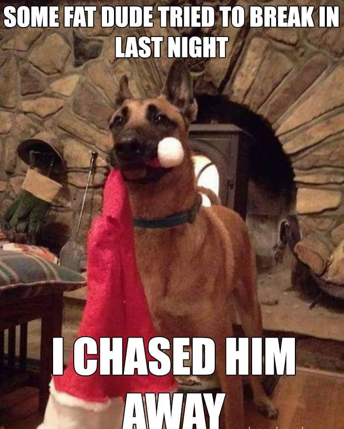 30 Festive Christmas Memes To End Off Your Year 