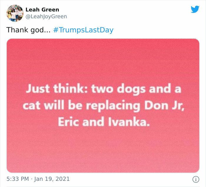 31 Absurd Trump Memes That Are Still Extremely Funny