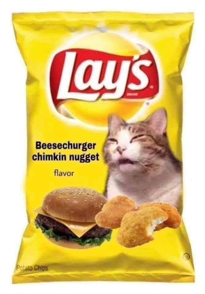 30 Delicious Food Memes To Share With A Food Lover 