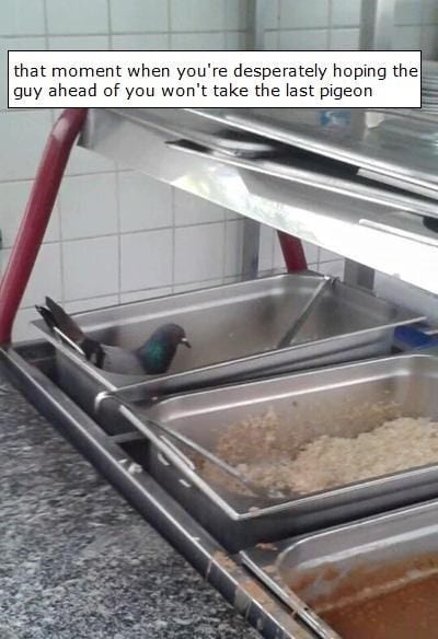 30 Delicious Food Memes To Share With A Food Lover 