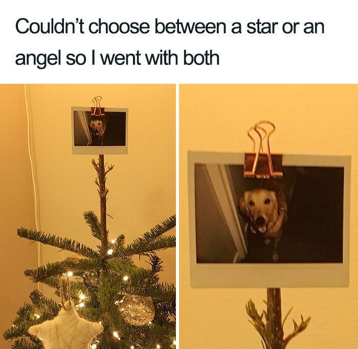 30 Festive Christmas Memes To End Off Your Year 