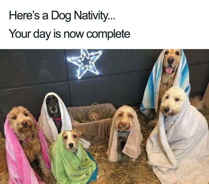 30 Festive Christmas Memes To End Off Your Year 