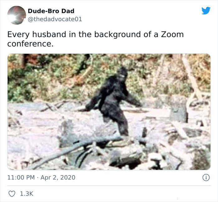 30 Funloving Memes For Couple Working From Home