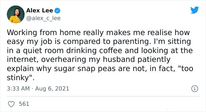 30 Funloving Memes For Couple Working From Home