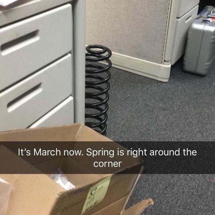 30 Elite Work Place Memes To Share With Your Colleagues