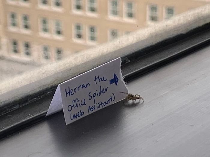 30 Elite Work Place Memes To Share With Your Colleagues