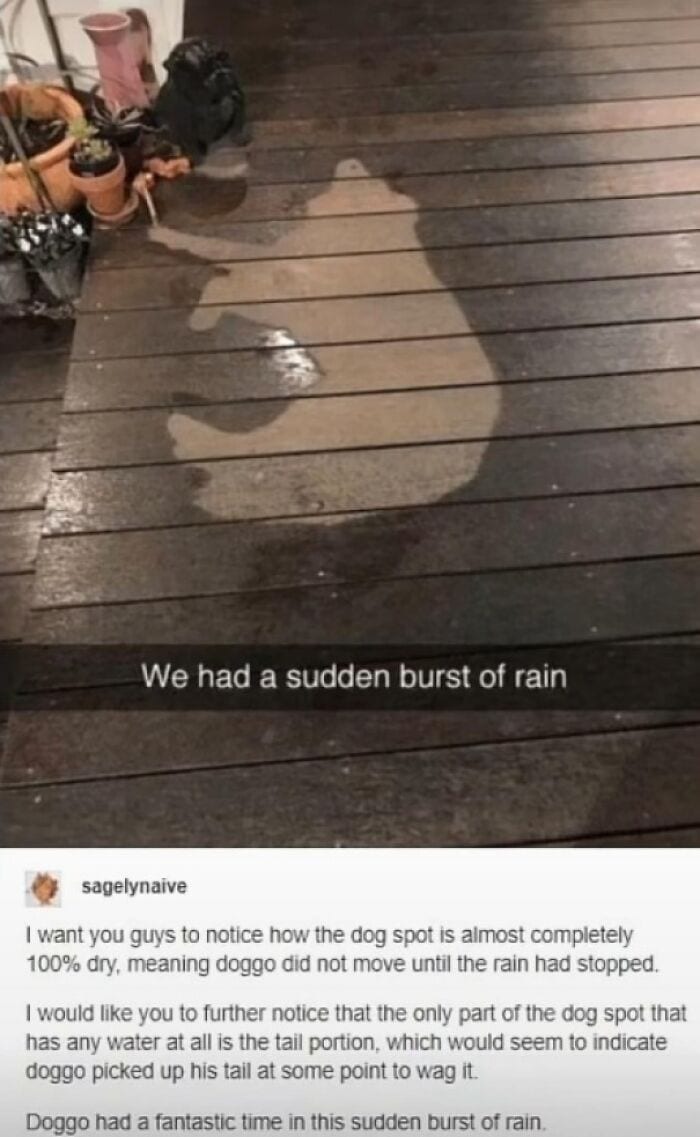 30 Heartwarming Wholesome Memes You Will Absolutely Love