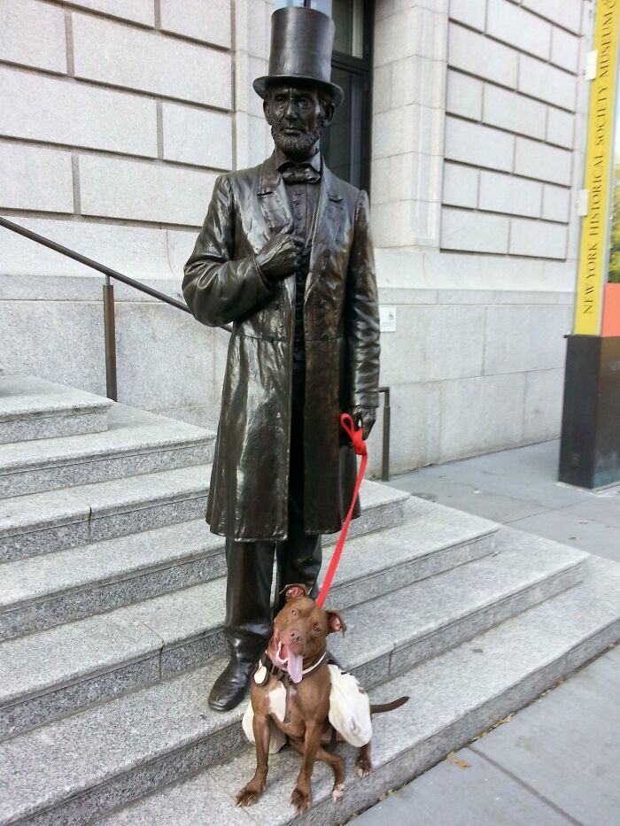 32 Super Funny Pictures People Took At Museums&Nbsp;