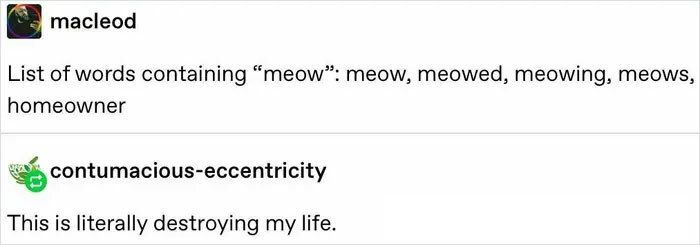 30 Hilarious Times The English Language Got The Best Of People&Nbsp;