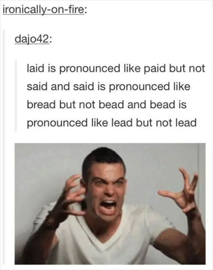 30 Hilarious Times The English Language Got The Best Of People&Nbsp;