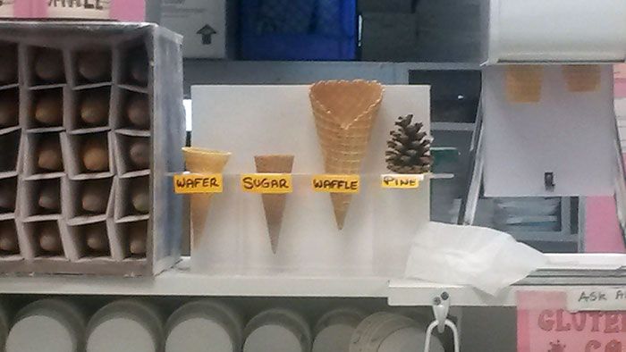 30 Elite Work Place Memes To Share With Your Colleagues
