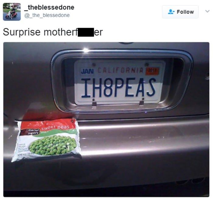 30 Outrageousness And Rebels Who Want To See The World Burn