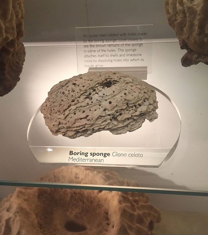 32 Super Funny Pictures People Took At Museums&Nbsp;