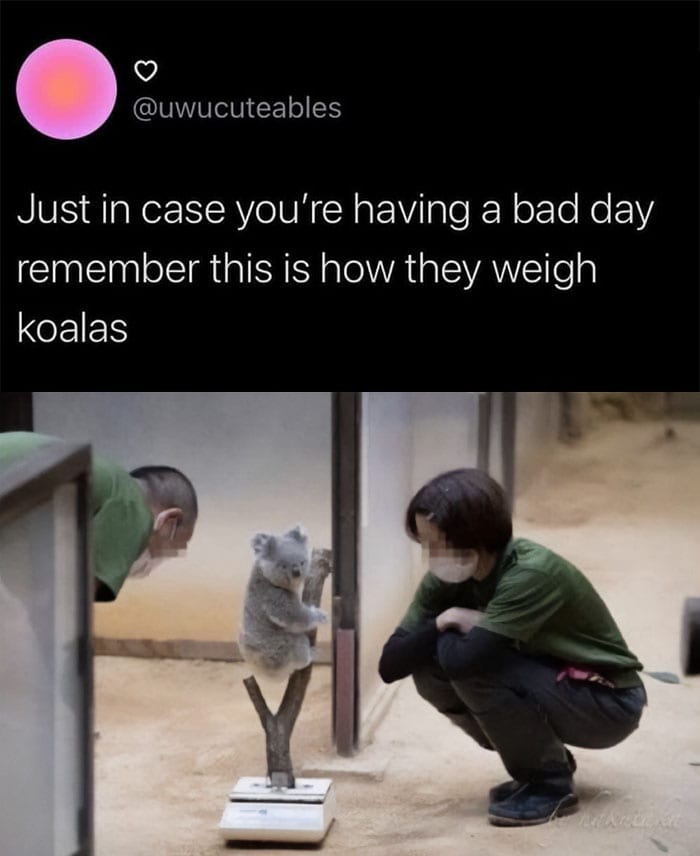 30 Heartwarming Wholesome Memes You Will Absolutely Love