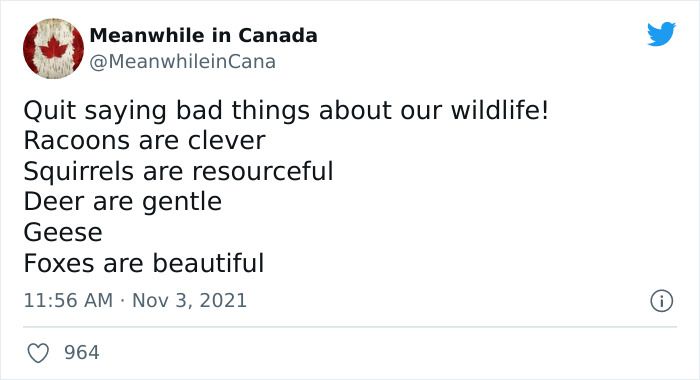 30 Dazzling Canadian Memes That Are So Funny And Accurate