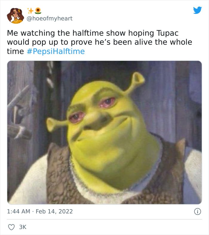 30 Spectacular Super Bowl Half Time Show Memes 