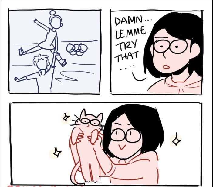 30 Icy And Hilarious Winter Olympic Memes