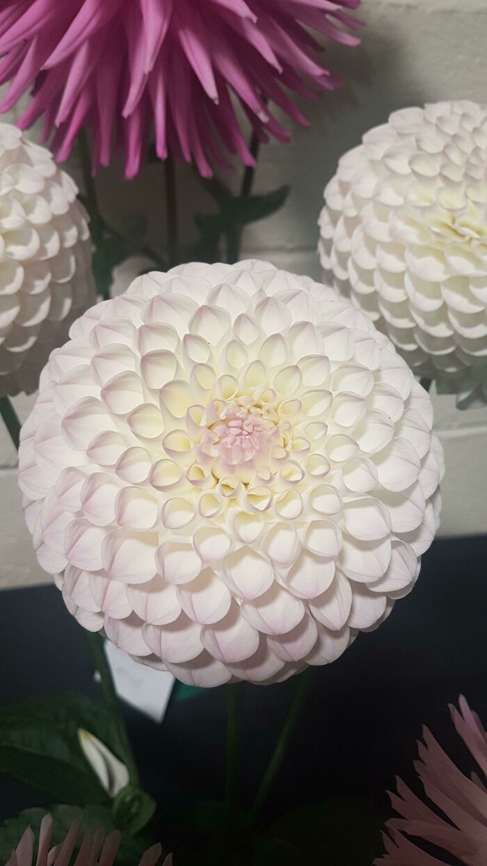 30 Oddly Satisfying Pictures To Make You Feel Good