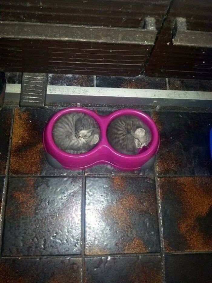 30 Oddly Satisfying Pictures To Make You Feel Good
