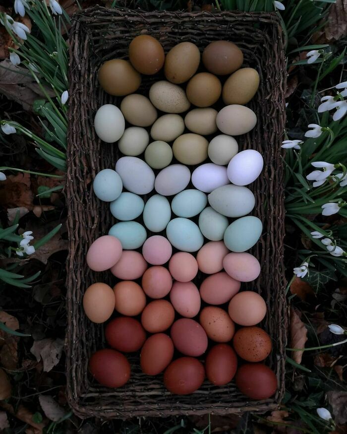 30 Oddly Satisfying Pictures To Make You Feel Good