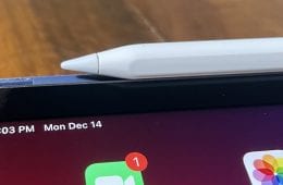 The Lifechanging Apple Pencil (2Nd Generation)