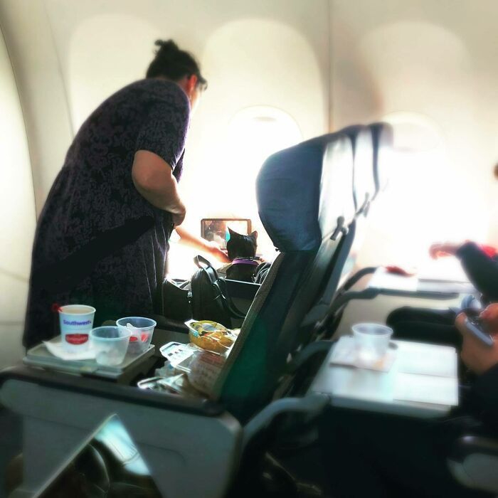 30 Of The Absolute Worst Airport Passengers In The World