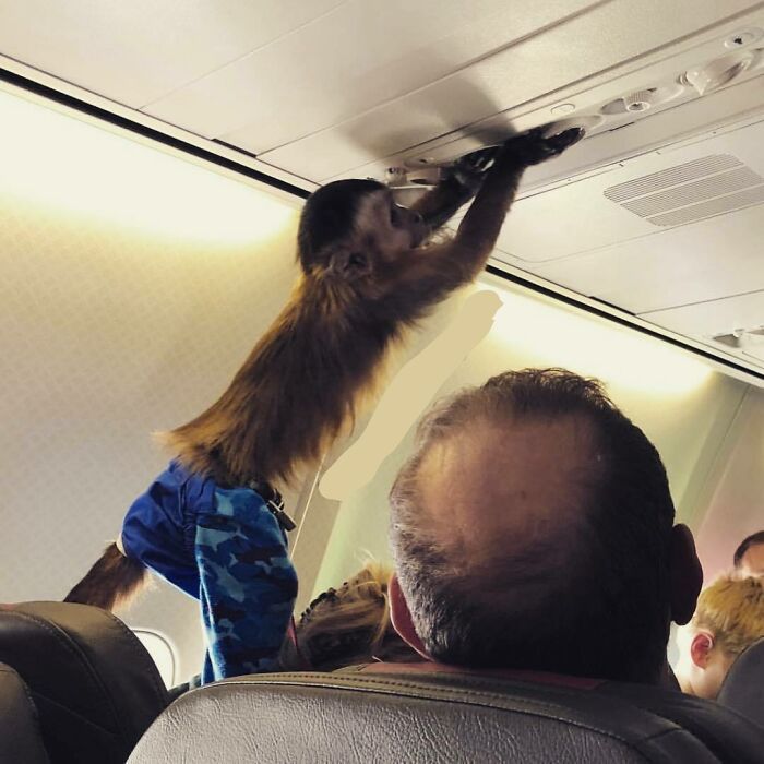 30 Of The Absolute Worst Airport Passengers In The World