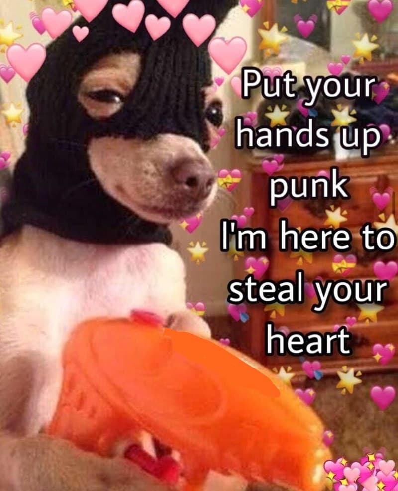 30 Naughty And Nice Valentines Memes 