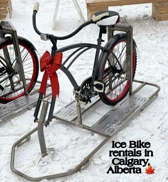 30 Dazzling Canadian Memes That Are So Funny And Accurate