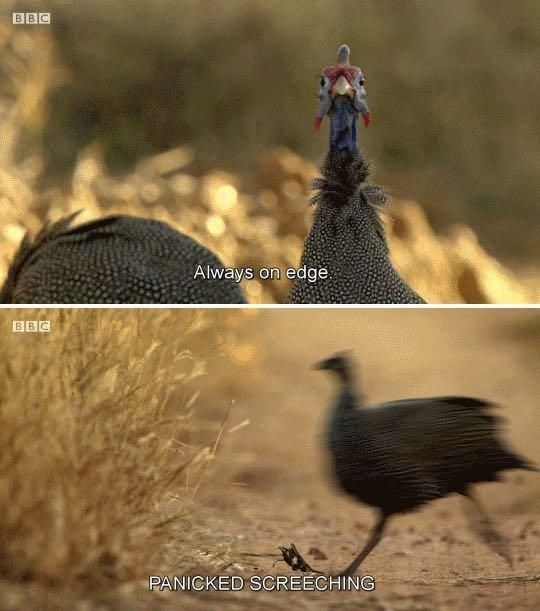 30 Terrific Memes To Laugh At During Your Free Time