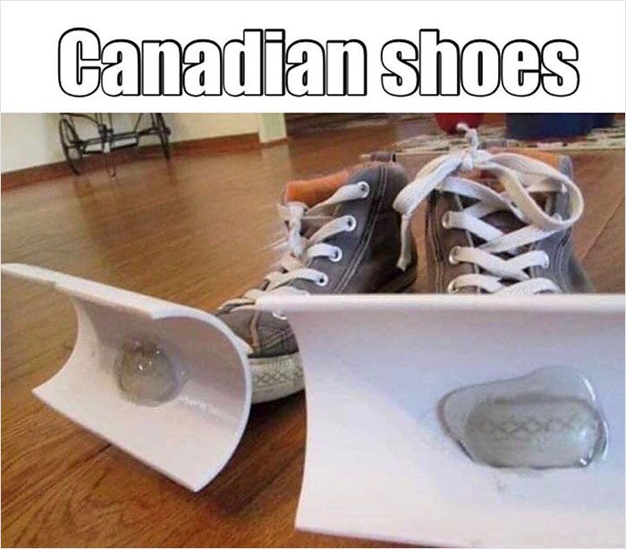 30 Dazzling Canadian Memes That Are So Funny And Accurate