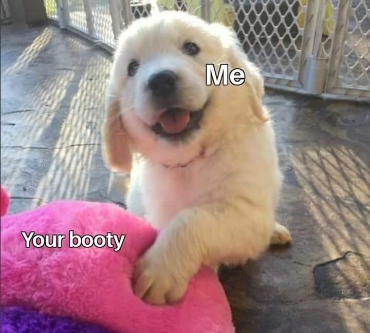 30 Naughty And Nice Valentines Memes 