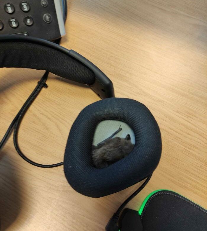 30 Heartbreaking Pictures Of People Having A Really Bad Day At Work