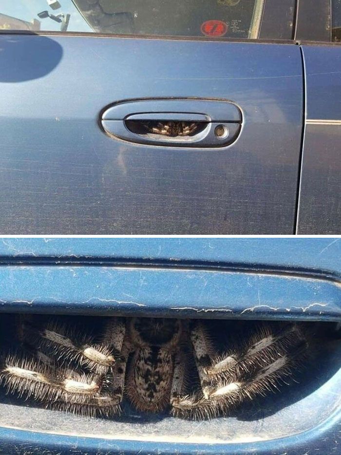 29 Epic Fails You Have To See And Share With Friends