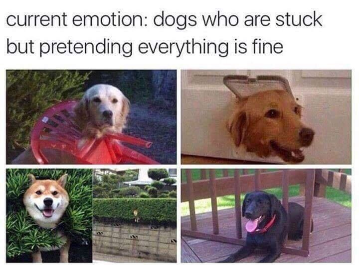 30 Exquisite Random Meme Dump That Will Leave You Crying Of Laughter