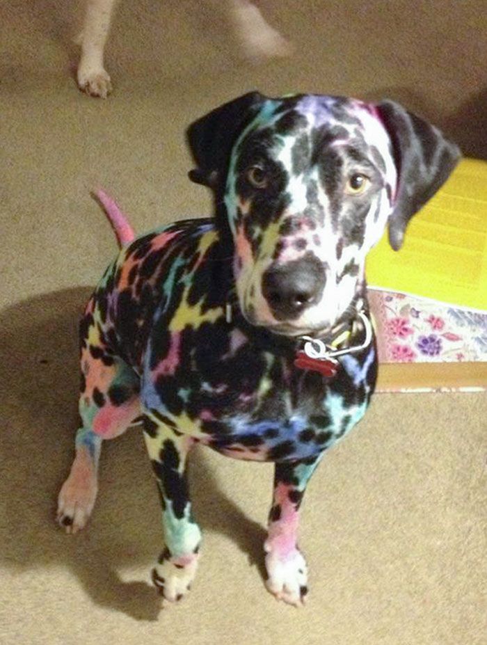 30 Supper Funny Pictures Of Parents Having A Bad Day