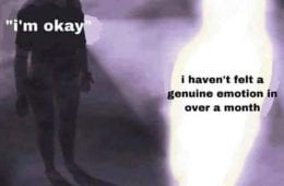 30 Exquisite Random Meme Dump That Will Leave You Crying Of Laughter