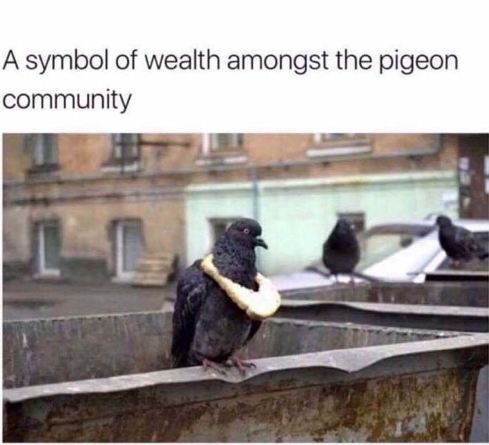 30 Exquisite Random Meme Dump That Will Leave You Crying Of Laughter