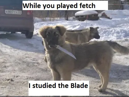 30 Perfect Funny Dog Memes That Will Make Your Day So Much Better