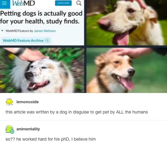 30 Perfect Funny Dog Memes That Will Make Your Day So Much Better
