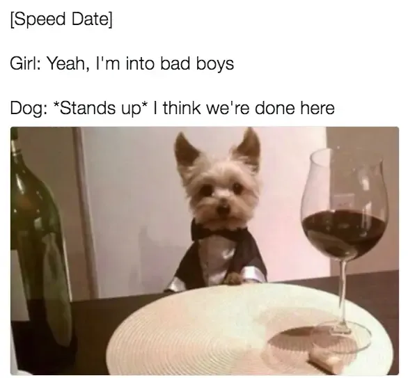 30 Perfect Funny Dog Memes That Will Make Your Day So Much Better
