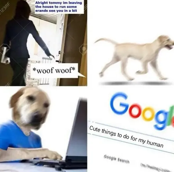 30 Perfect Funny Dog Memes That Will Make Your Day So Much Better