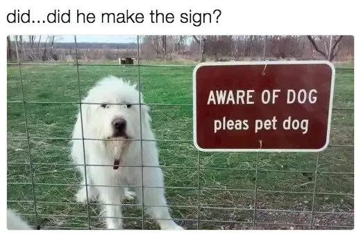 30 Perfect Funny Dog Memes That Will Make Your Day So Much Better