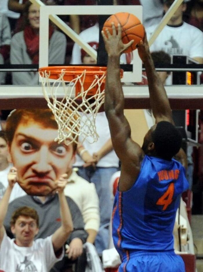 40 Of The Best And Funniest Random Signs