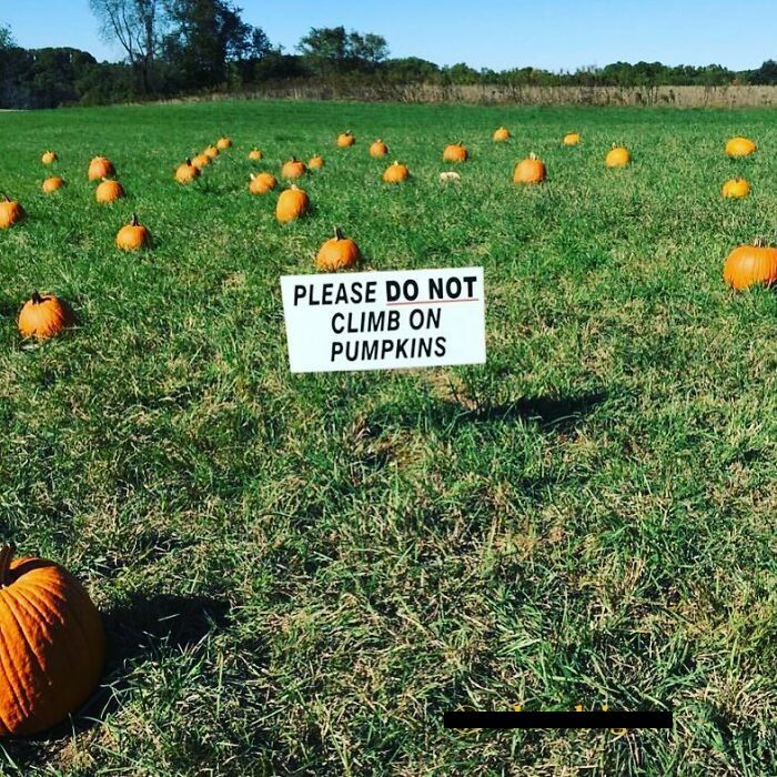 40 Of The Best And Funniest Random Signs